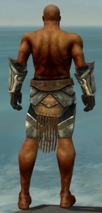 Warrior Sunspear armor m gray back arms legs.jpg