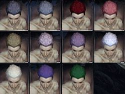 Necro factions hair color m.jpg