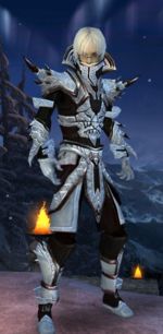 Necromancer Asuran armor m dyed front.jpg