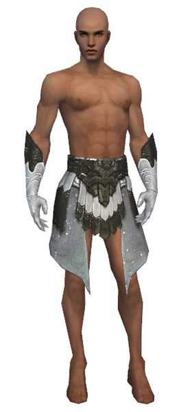 File:Paragon Elonian armor m gray front arms legs.png