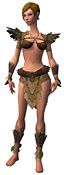 Ranger Elite Druid armor f.jpg