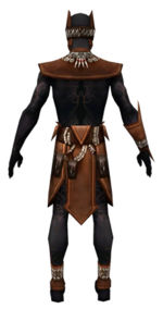 Ritualist Kurzick armor m dyed back.jpg