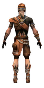 Ritualist Luxon armor m dyed back.jpg