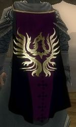 Guild Right Hand Of The Army cape.jpg
