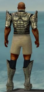 Warrior Sunspear armor m gray back chest feet.jpg