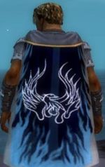 Guild Knights Of Hope cape.jpg