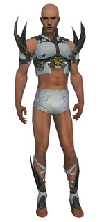 Paragon Elite Sunspear armor m gray front chest feet.png