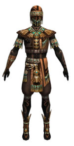 Ritualist Elite Luxon armor m dyed front.jpg