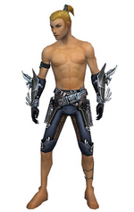 Assassin Asuran armor m gray arms legs font.png