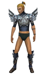 Assassin Asuran armor m gray chest feet front.png