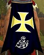 Guild The Actives cape.jpg