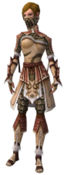 Ranger Elite Canthan armor f.jpg