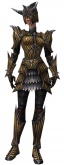 Warrior Wyvern armor f.jpg