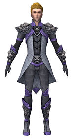 Elementalist Stoneforged armor m dyed front.jpg