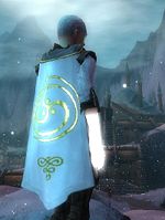 Guild Aura Of Unity cape.jpg