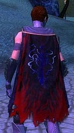 Guild Knights Of The Twilight Relm cape.jpg