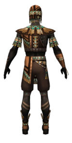 Ritualist Elite Luxon armor m dyed back.jpg