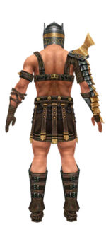 Warrior Elite Gladiator armor m dyed back.jpg