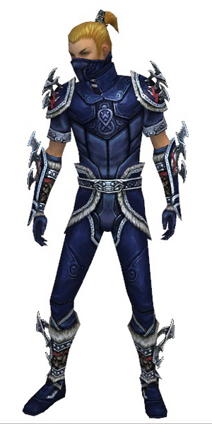 File:Assassin Norn armor m dyed front.png