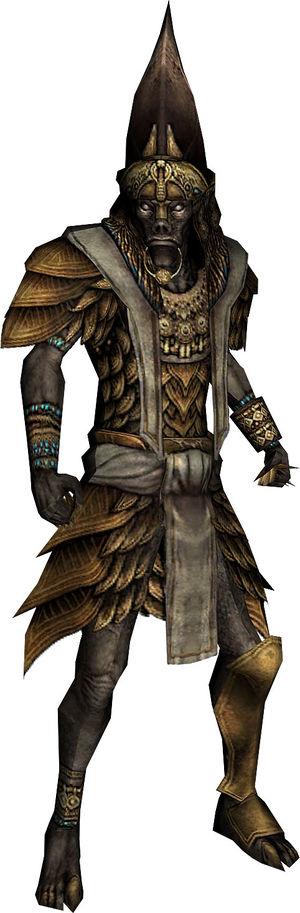 Palawa Joko - Guild Wars Wiki (GWW)