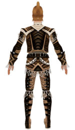 Ranger Kurzick armor m dyed back.jpg