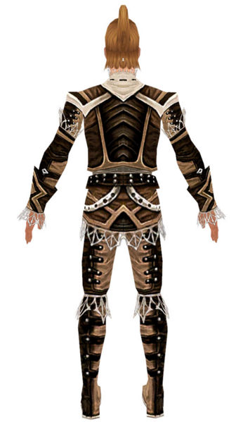File:Ranger Kurzick armor m dyed back.jpg
