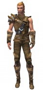 Ranger Tyrian armor m.jpg
