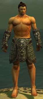 Warrior Canthan armor m gray front arms legs.jpg