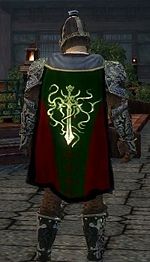 Guild Infused Requisite cape.jpg