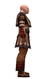 Monk Ancient armor m dyed right.jpg