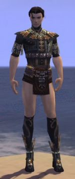 Ritualist Elite Luxon armor m gray front chest feet.jpg