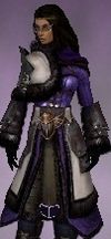 Screenshot Ranger Norn armor f dyed Purple.jpg
