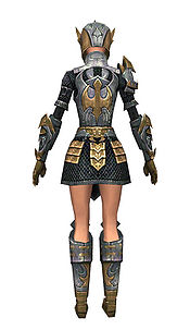 Warrior Elite Templar armor f dyed back.jpg