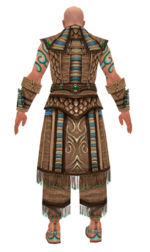 Monk Elite Luxon armor m dyed back.jpg