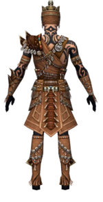 Ritualist Elite Imperial armor m dyed back.jpg