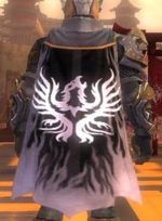 Guild Darkness Masters cape.jpg