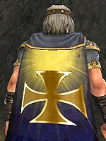 Guild South African Warlords cape.jpg