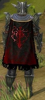 Guild The Darkest Nightz cape.jpg