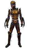 Assassin Elite Exotic armor m.jpg