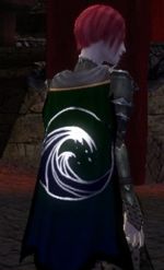 Guild Knights Of The Phoenix Realm cape.jpg