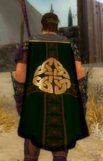 Guild Pack Of Thieves cape.jpg