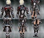 Screenshot Necromancer Norn armor f dyed Silver.jpg