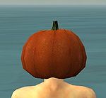 Furious Pumpkin Crown back.jpg
