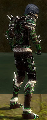 Necromancer Norn armor m dyed right.jpg