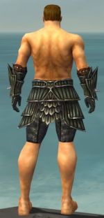 Warrior Wyvern armor m gray back arms legs.jpg