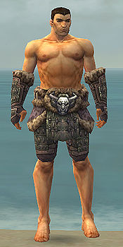 Warrior Charr Hide armor m gray front arms legs.jpg