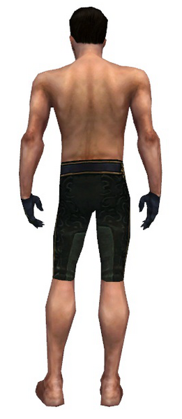 File:Mesmer Elite Sunspear armor m gray back arms legs.png