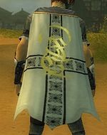 Guild True Army Of God cape.jpg