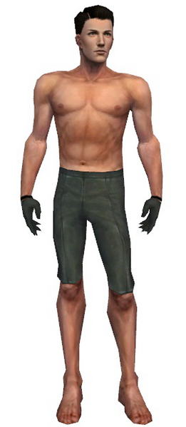 File:Mesmer Norn armor m gray front arms legs.png