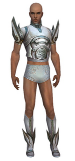 Paragon Asuran armor m gray front chest feet.png